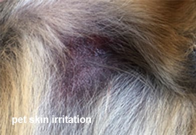 petskinirritation-1